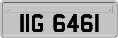 IIG6461