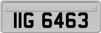 IIG6463