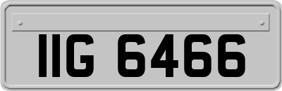 IIG6466