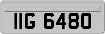 IIG6480
