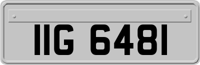 IIG6481