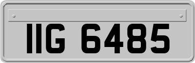 IIG6485