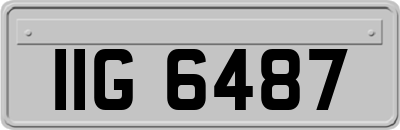 IIG6487