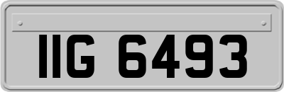 IIG6493