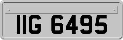 IIG6495