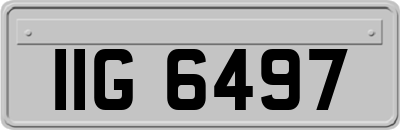 IIG6497