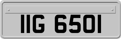 IIG6501