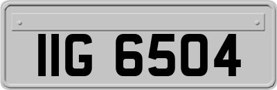 IIG6504