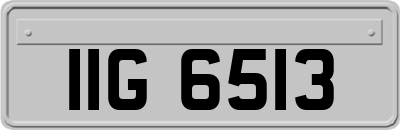 IIG6513