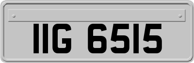IIG6515