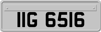 IIG6516