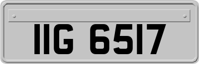 IIG6517