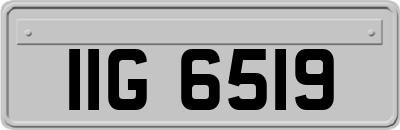 IIG6519