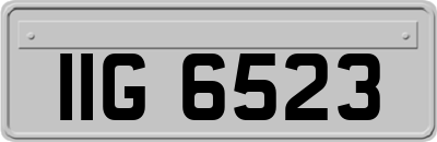 IIG6523