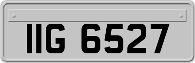 IIG6527