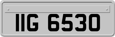 IIG6530