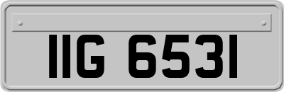 IIG6531