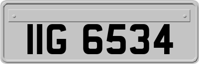IIG6534