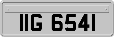 IIG6541