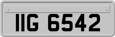IIG6542