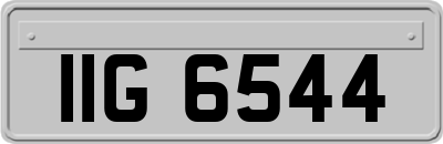 IIG6544