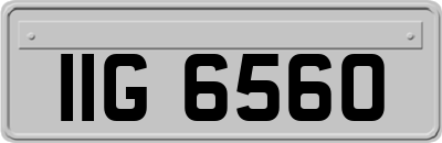 IIG6560