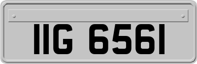 IIG6561