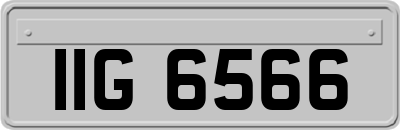 IIG6566