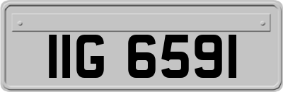IIG6591