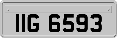 IIG6593