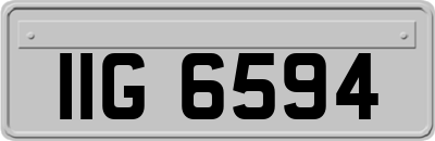 IIG6594