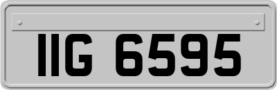 IIG6595