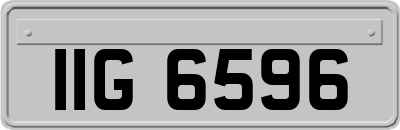 IIG6596