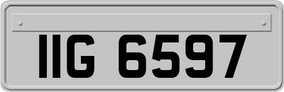 IIG6597