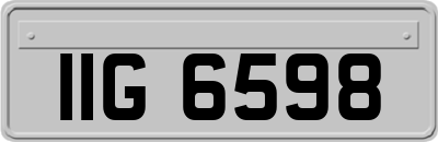 IIG6598