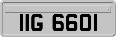 IIG6601