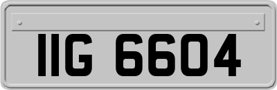 IIG6604