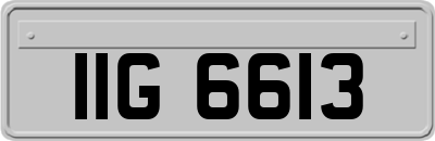 IIG6613