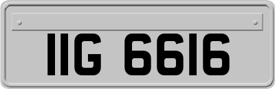 IIG6616