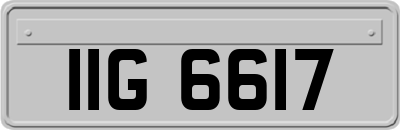 IIG6617