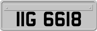 IIG6618
