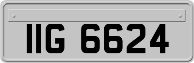 IIG6624