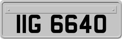 IIG6640