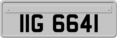 IIG6641