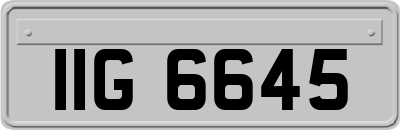 IIG6645