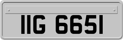 IIG6651