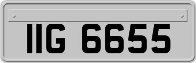 IIG6655