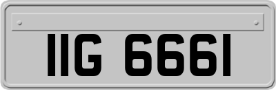 IIG6661