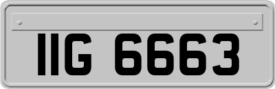 IIG6663