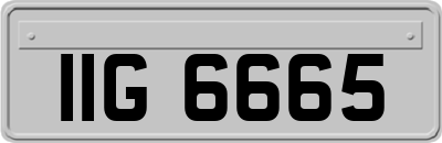 IIG6665